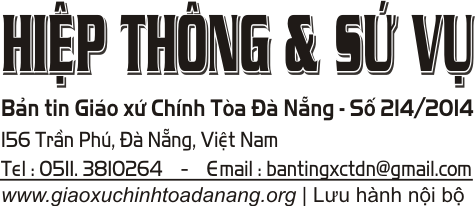 Bản Tin 214 – Chúa Nhật VIII Thường Niên – Năm A