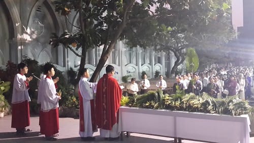 Giáo Xứ Cử Hành Lễ Lá – Khởi Đầu Tuần Thánh và Phục Sinh 2014