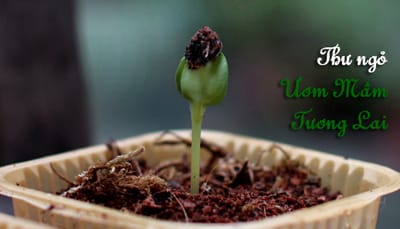 Thư ngỏ của Bảo trợ học sinh hè 2014