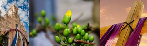 Thông Báo: V/v. Phân công phụ trách cuối năm, Tết Bính Thân & Mùa Chay 2016