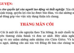 Phân Công Phụng Vụ Tháng 10/2017