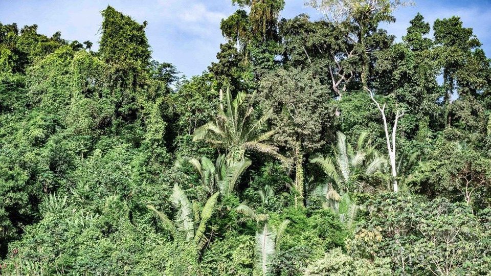 Các tu sĩ Salêdiêng và người dân Mông Cổ hưởng ứng Laudato Sì