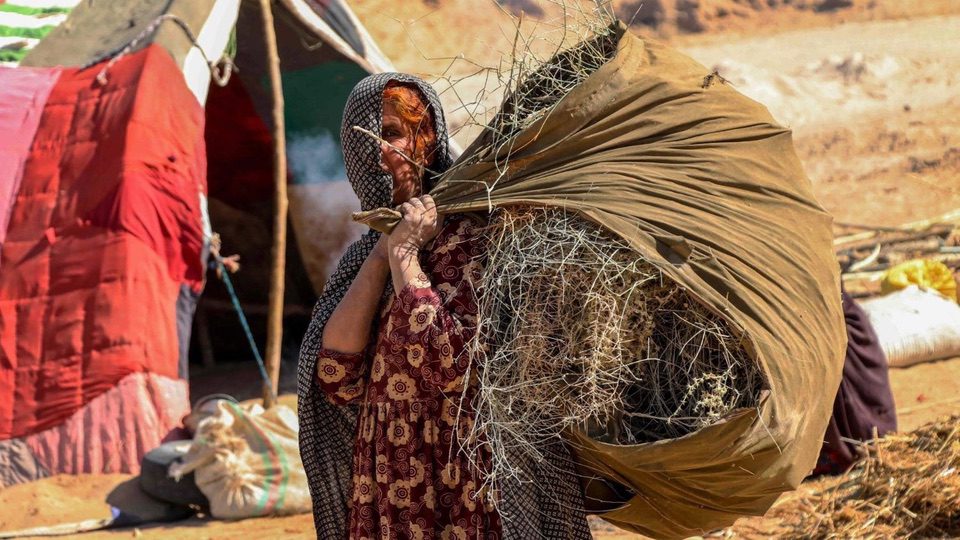 ĐTC gửi thư cho Dịch vụ Dòng Tên giúp người tị nạn