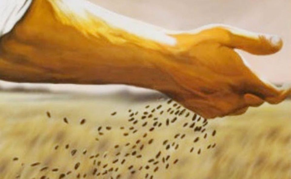 21/03/21 Chúa Nhật tuần 5 MC – B: Để sinh nhiều hoa trái