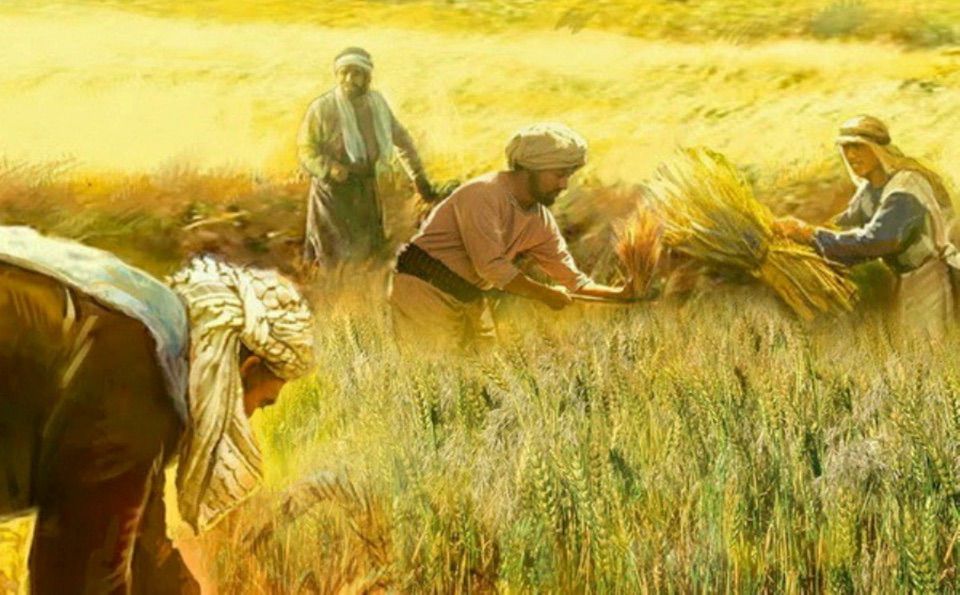 27/07/21 Thứ Ba tuần 17 TN: Giống tốt, giống xấu