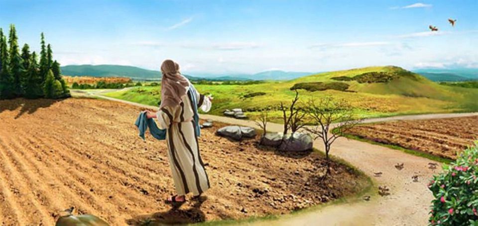 21/07/21 Thứ Tư tuần 16 TN: Dọn đất cho hạt giống lời Chúa