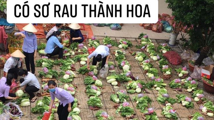 Sài Gòn nhật ký cách ly 9 & 10 – Tàn giấc mơ rau!