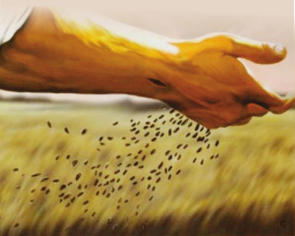 17/09/22 THỨ BẢY TUẦN 24 TN – Th. Rô-be-tô Ben-la-mi-nô, giám mục, tiến sĩ HT: KIÊN TRÌ GIEO HẠT