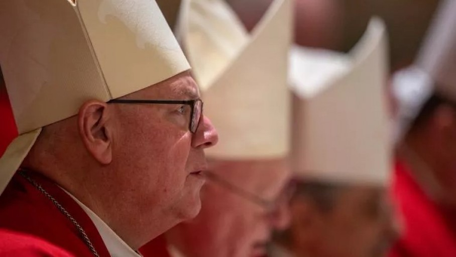 Đức Hồng y Dolan: Nhân quyền bắt đầu từ lòng mẹ