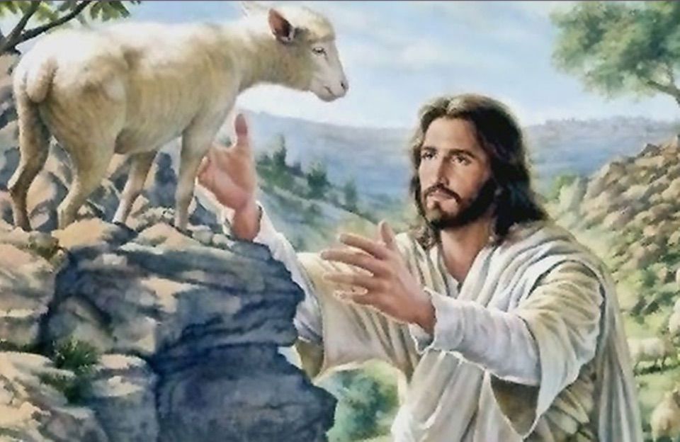 03/11/22 THỨ NĂM ĐẦU THÁNG TUẦN 31 TN – Th. Mác-ti-nô Po-rét, tu sĩ: YÊU KHÔNG TÍNH TOÁN