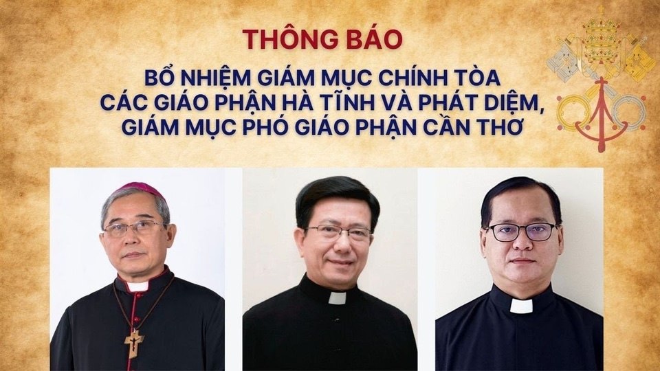 Bổ nhiệm Giám mục chính tòa các giáo phận Hà Tĩnh và Phát Diệm, Giám mục phó giáo phận Cần Thơ